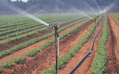 Sprinkler irrigation